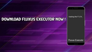 Fluxus Executor 2