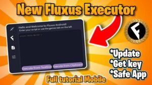Fluxus Executor 1