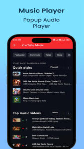 Genyoutube 3