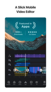 VN Pro 1