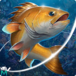 fishing hook apk