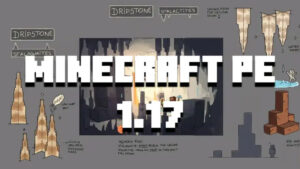 Minecraft 1.17 5