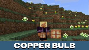 Minecraft 1.21.71 3