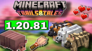 Minecraft 1.21.81 1