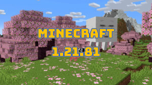 Minecraft 1.21.81 3