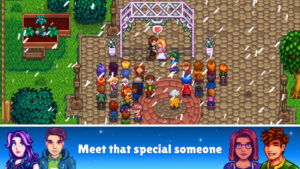 Stardew Valley 3