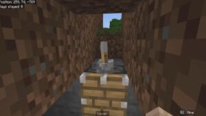 Minecraft 1.21.124.2 5